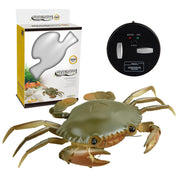 4890192523762