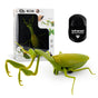 Infrared RC Prank Toy — Electric Snail & Mouse Set