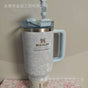 Stainless Steel Thermos Cup with Straw — Portable Travel Tumbler