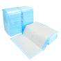 Dog Urine Pad Diaper Puppy Deodorant Super Absorbent Thickened Urine Pad Cat Rabbit Teddy Diaper Wet Paper Urine Pad